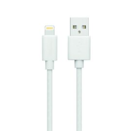 Apple Lightning to USB Cable